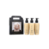 Raywell Boto Hair Gold Kit 3×150 ml | Tendenza Estetica